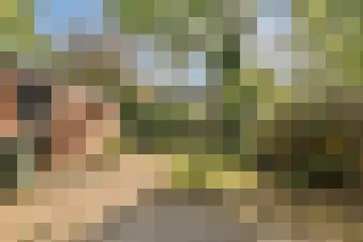 Stichtstraat 16 Loenersloot thumbnail 11