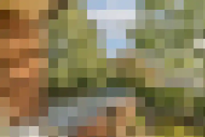 Stichtstraat 16 Loenersloot thumbnail 21