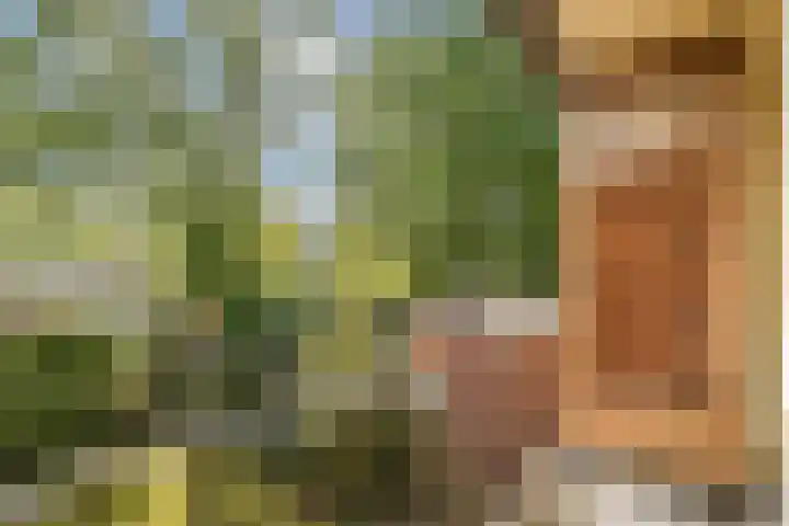 Stichtstraat 16 Loenersloot thumbnail 22