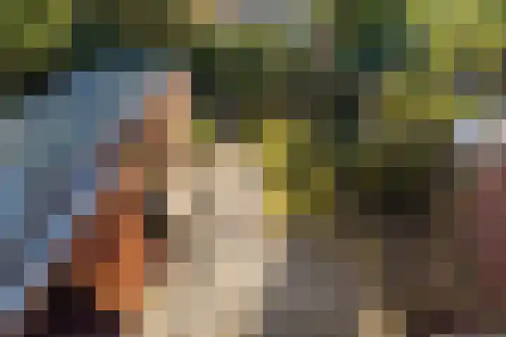 Stichtstraat 16 Loenersloot thumbnail 23