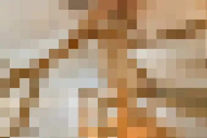 Stichtstraat 16 Loenersloot thumbnail 25