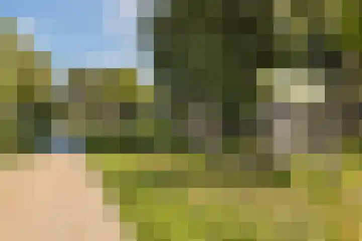 Stichtstraat 16 Loenersloot thumbnail 29