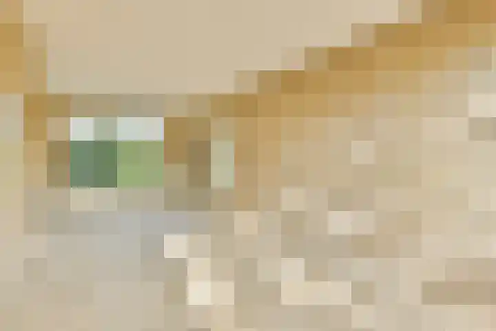 Stichtstraat 16 Loenersloot thumbnail 8