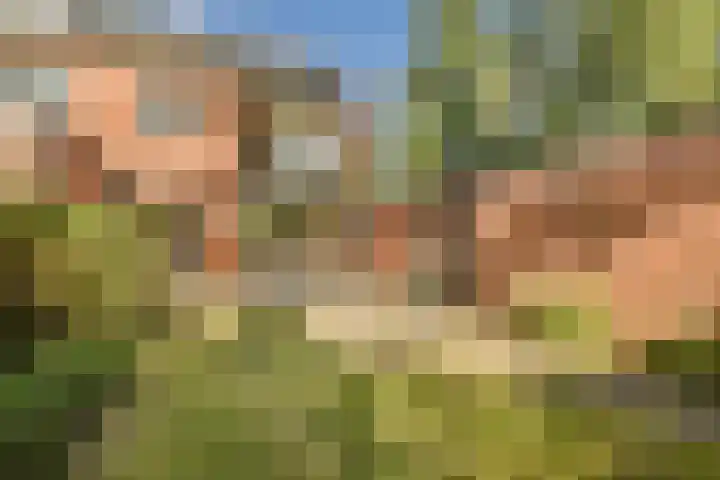 Stichtstraat 16 Loenersloot thumbnail 9
