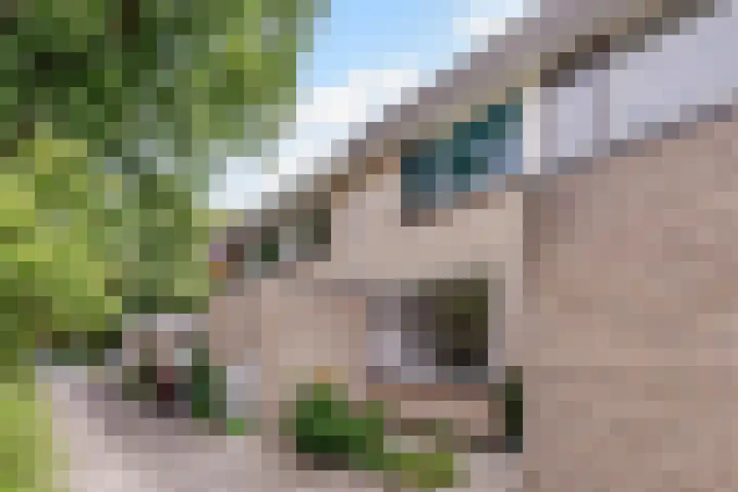 Stichtstraat 41 Amsterdam thumbnail 6
