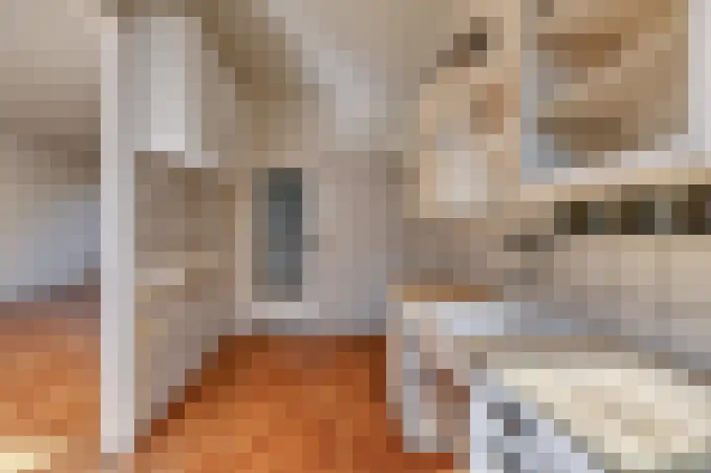 Stichtstraat 5 Amsterdam thumbnail 15