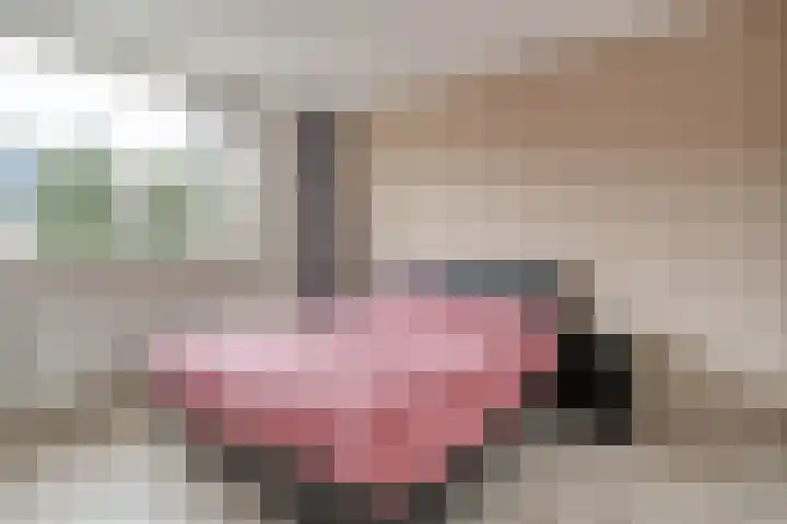 Stickerbelt 6 Zwolle thumbnail 21