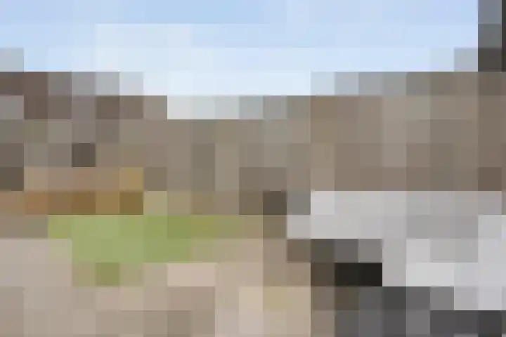 Stickerbelt 6 Zwolle thumbnail 34