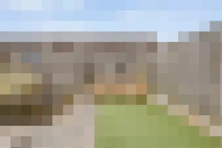 Stickerbelt 6 Zwolle thumbnail 36