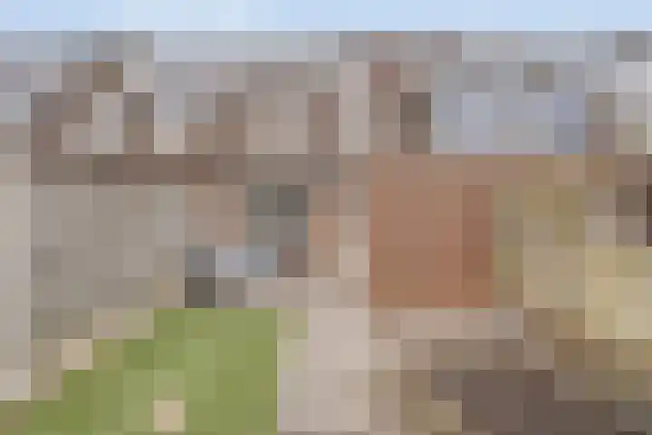 Stickerbelt 6 Zwolle thumbnail 39
