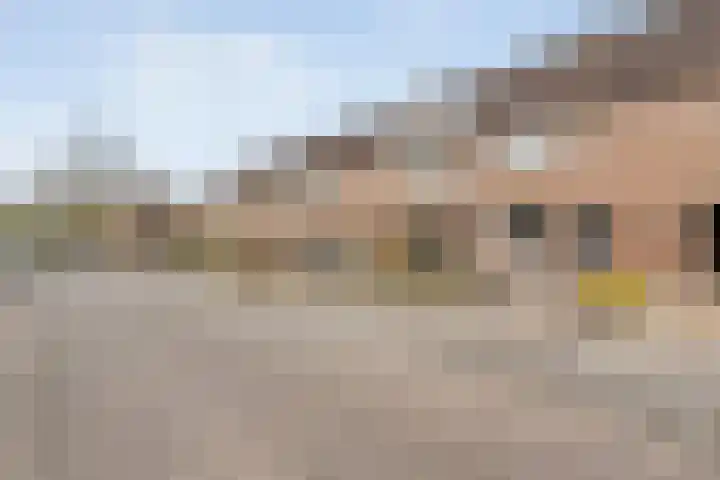 Stickerbelt 6 Zwolle thumbnail 41