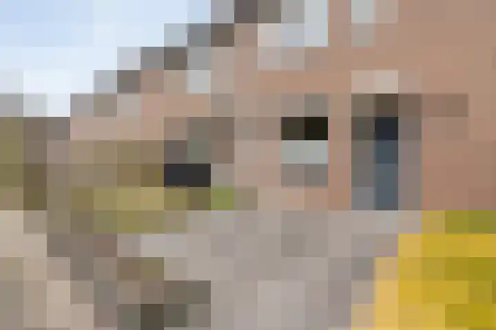 Stickerbelt 6 Zwolle thumbnail 44
