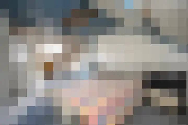 Stickerstraat 22 Dalfsen thumbnail 27
