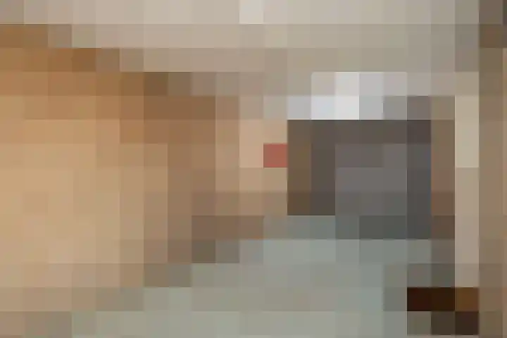 Stickerstraat 22 Dalfsen thumbnail 31