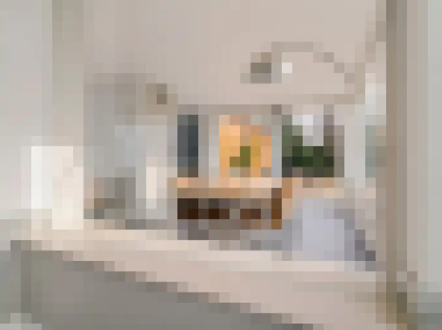 Stiegel 12 Eijsden thumbnail 11