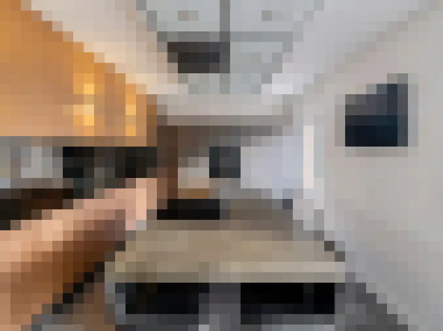 Stiegel 12 Eijsden thumbnail 17