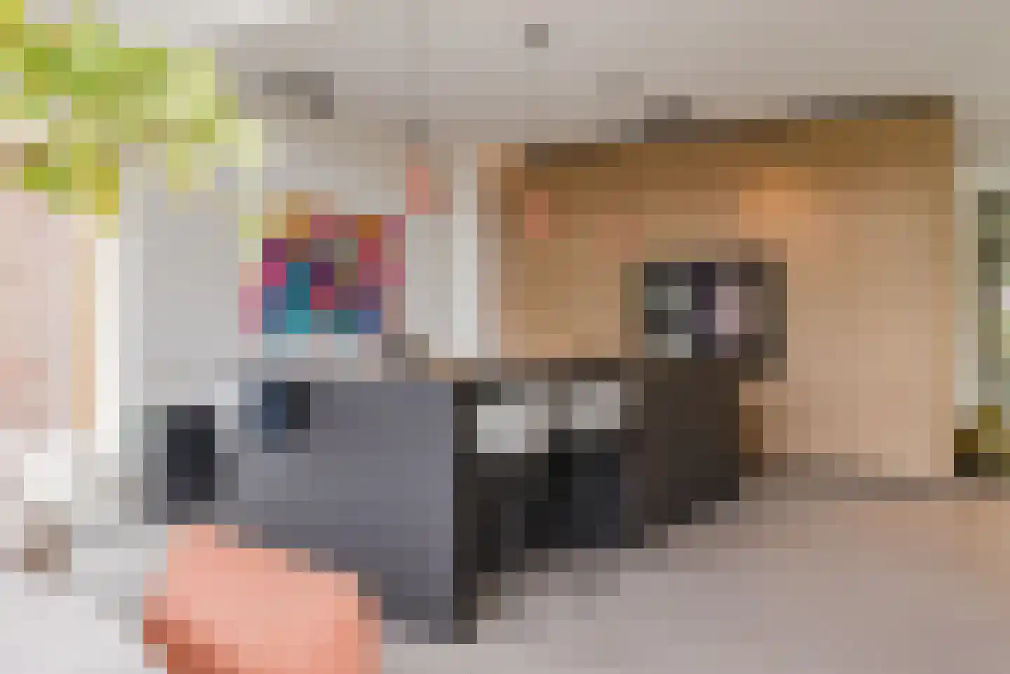 Stiegel 21 Eijsden thumbnail 19