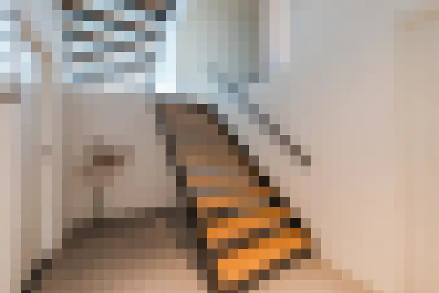 Stiegel 21 Eijsden thumbnail 25