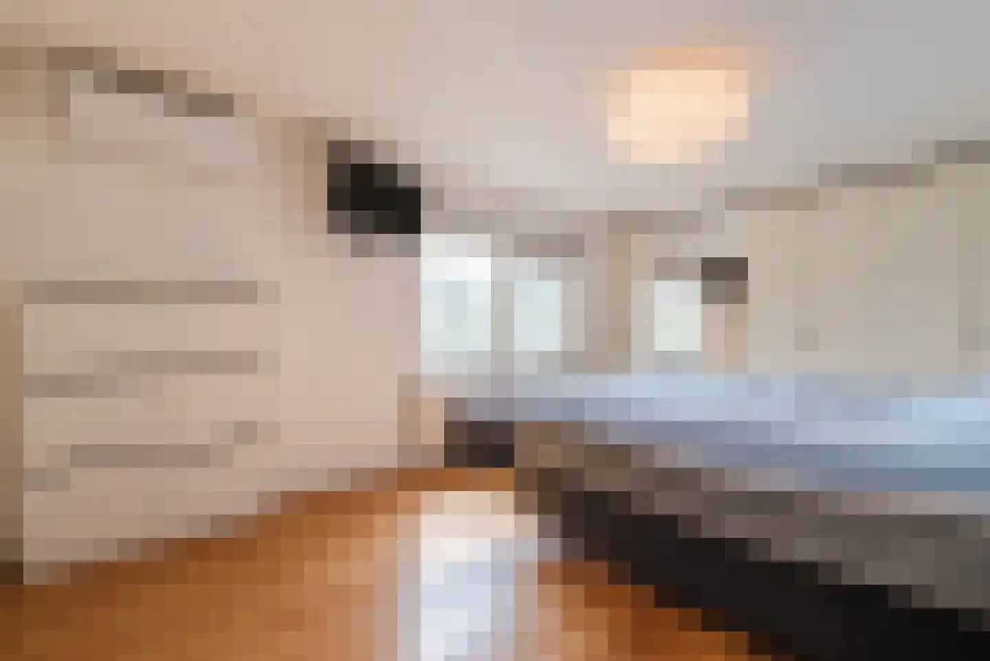 Stiegel 21 Eijsden thumbnail 36