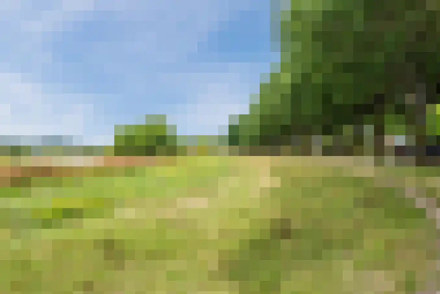 Stiegel 21 Eijsden thumbnail 55
