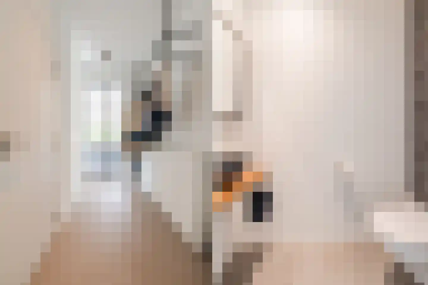 Stiegel 21 Eijsden thumbnail 7