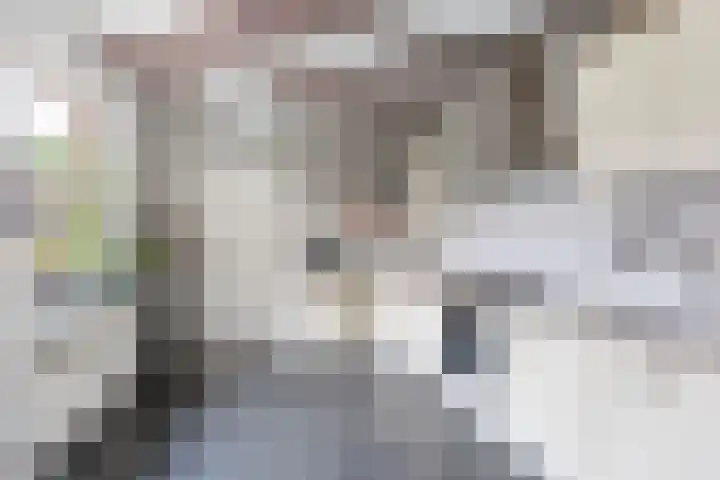 Stiegerstraat 22 Tuitjenhorn thumbnail 9