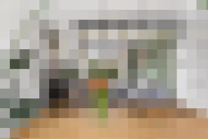 Stiegerstraat 24 Tuitjenhorn thumbnail 9