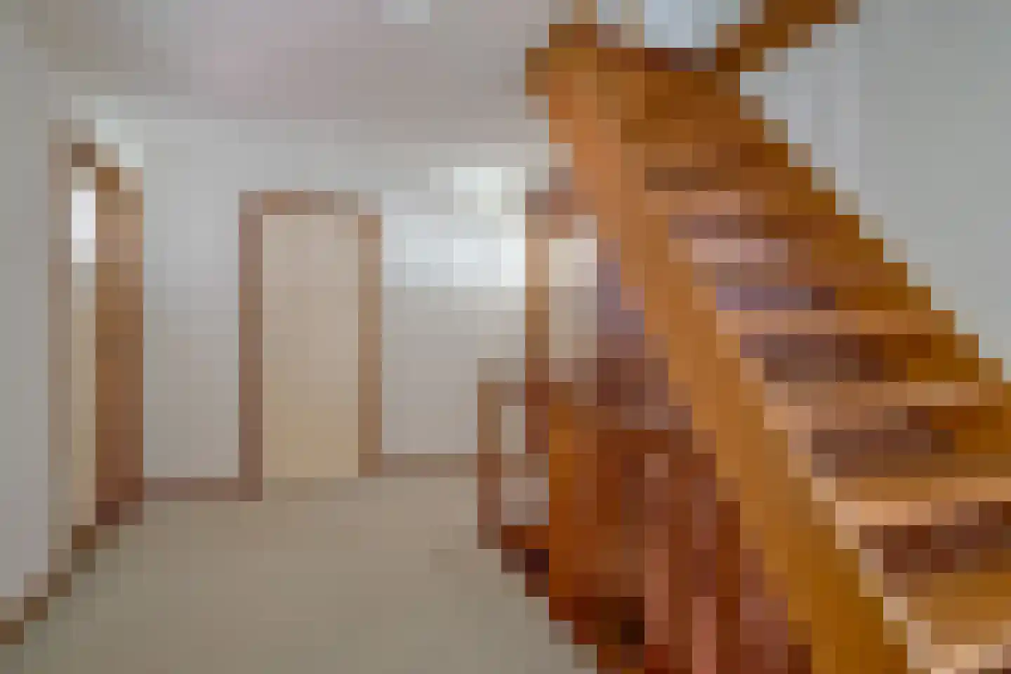 Stiegerstraat 31 Tuitjenhorn thumbnail 36