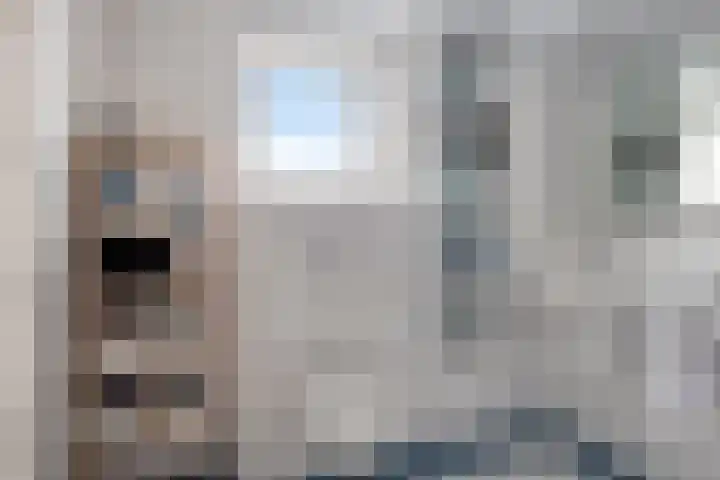 Stiegert 2 Haaksbergen thumbnail 29
