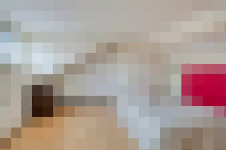 Stiegert 2 Haaksbergen thumbnail 36