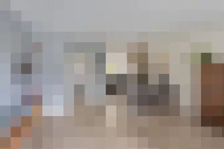 Stiegert 70 Haaksbergen thumbnail 19