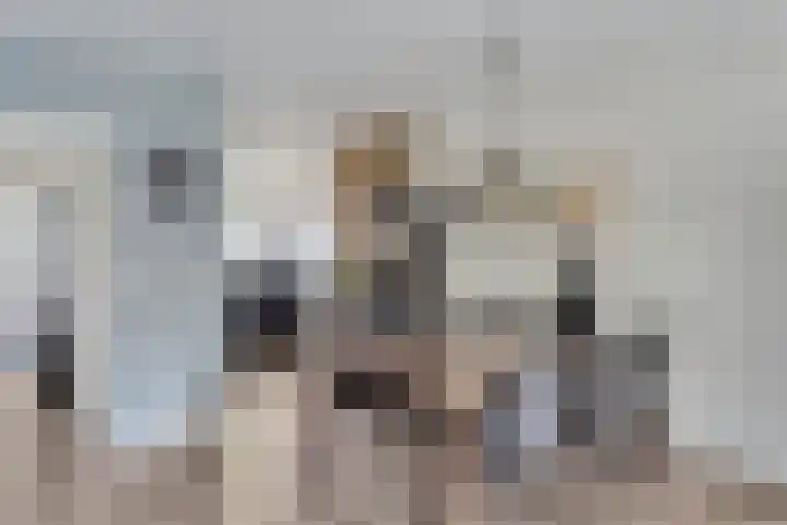 Stiegert 70 Haaksbergen thumbnail 20