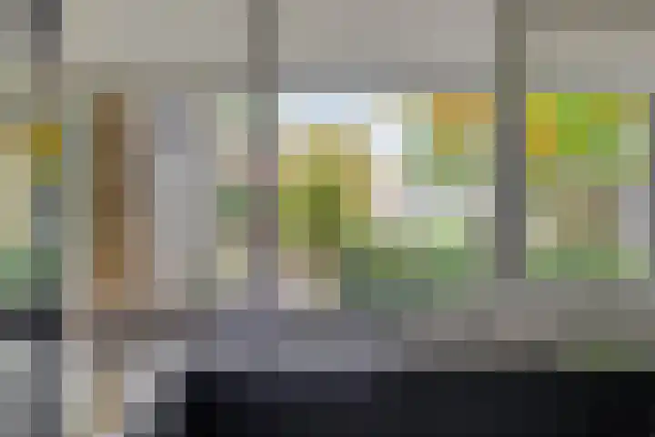 Stiegert 70 Haaksbergen thumbnail 22