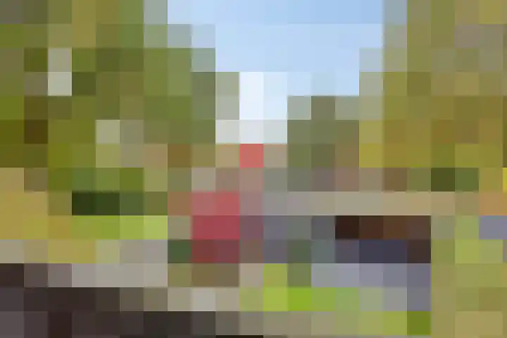 Stiegert 70 Haaksbergen thumbnail 38