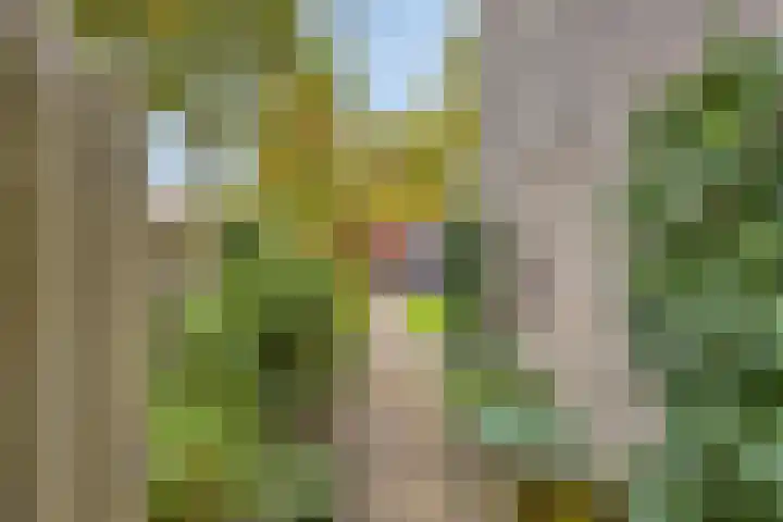 Stiegert 70 Haaksbergen thumbnail 41
