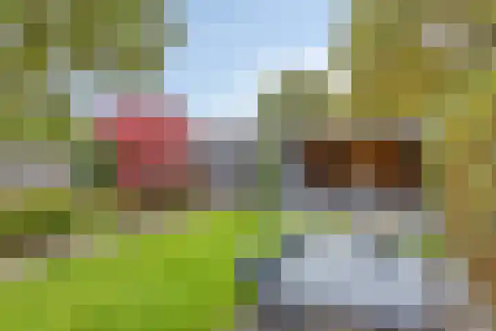 Stiegert 70 Haaksbergen thumbnail 42
