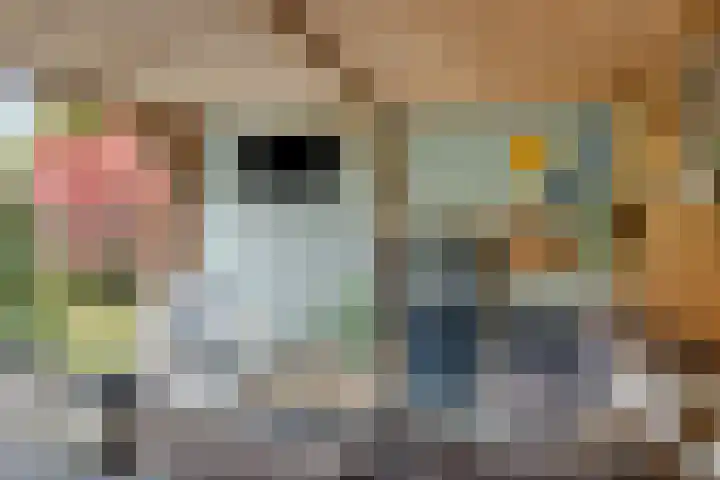 Stiegert 70 Haaksbergen thumbnail 45