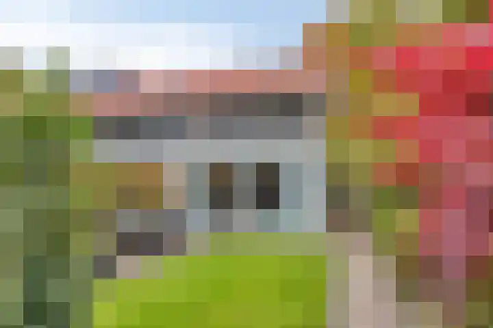 Stiegert 70 Haaksbergen thumbnail 48