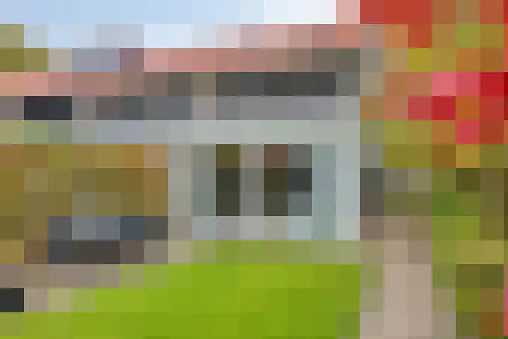 Stiegert 70 Haaksbergen thumbnail 49