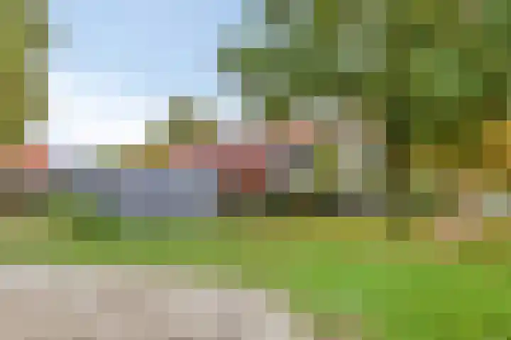 Stiegert 70 Haaksbergen thumbnail 51
