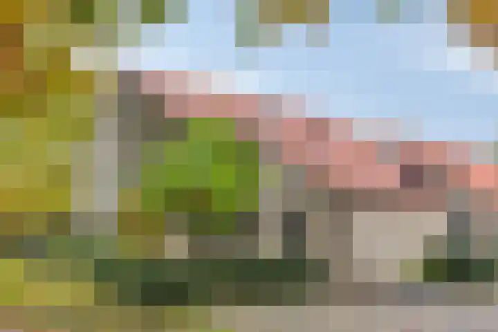 Stiegert 70 Haaksbergen thumbnail 6