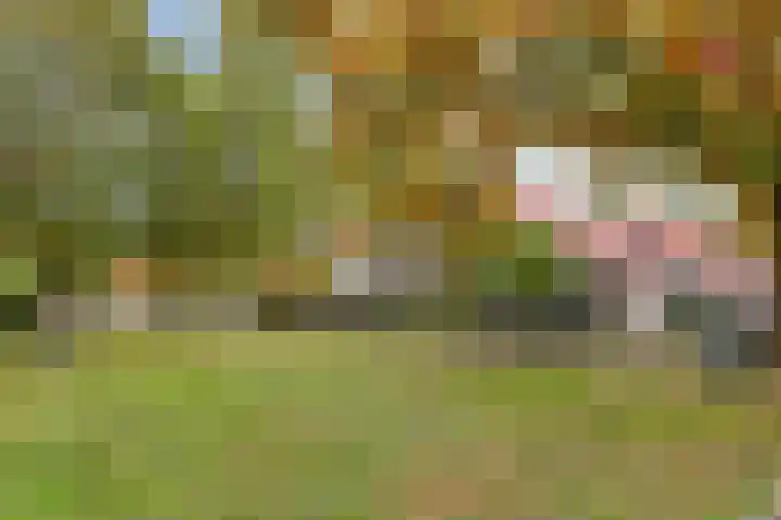 Stiegert 70 Haaksbergen thumbnail 7
