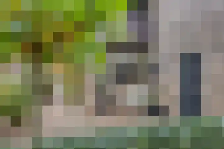 Stiegert 70 Haaksbergen thumbnail 8