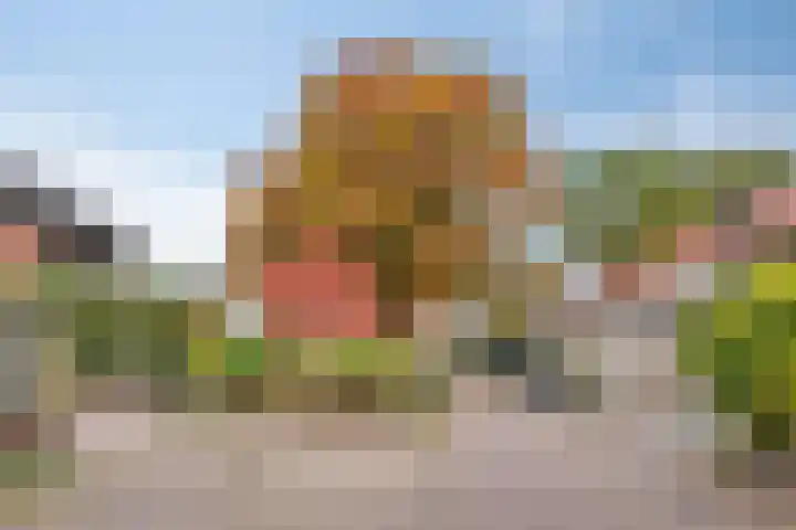 Stiegert 70 Haaksbergen thumbnail 9