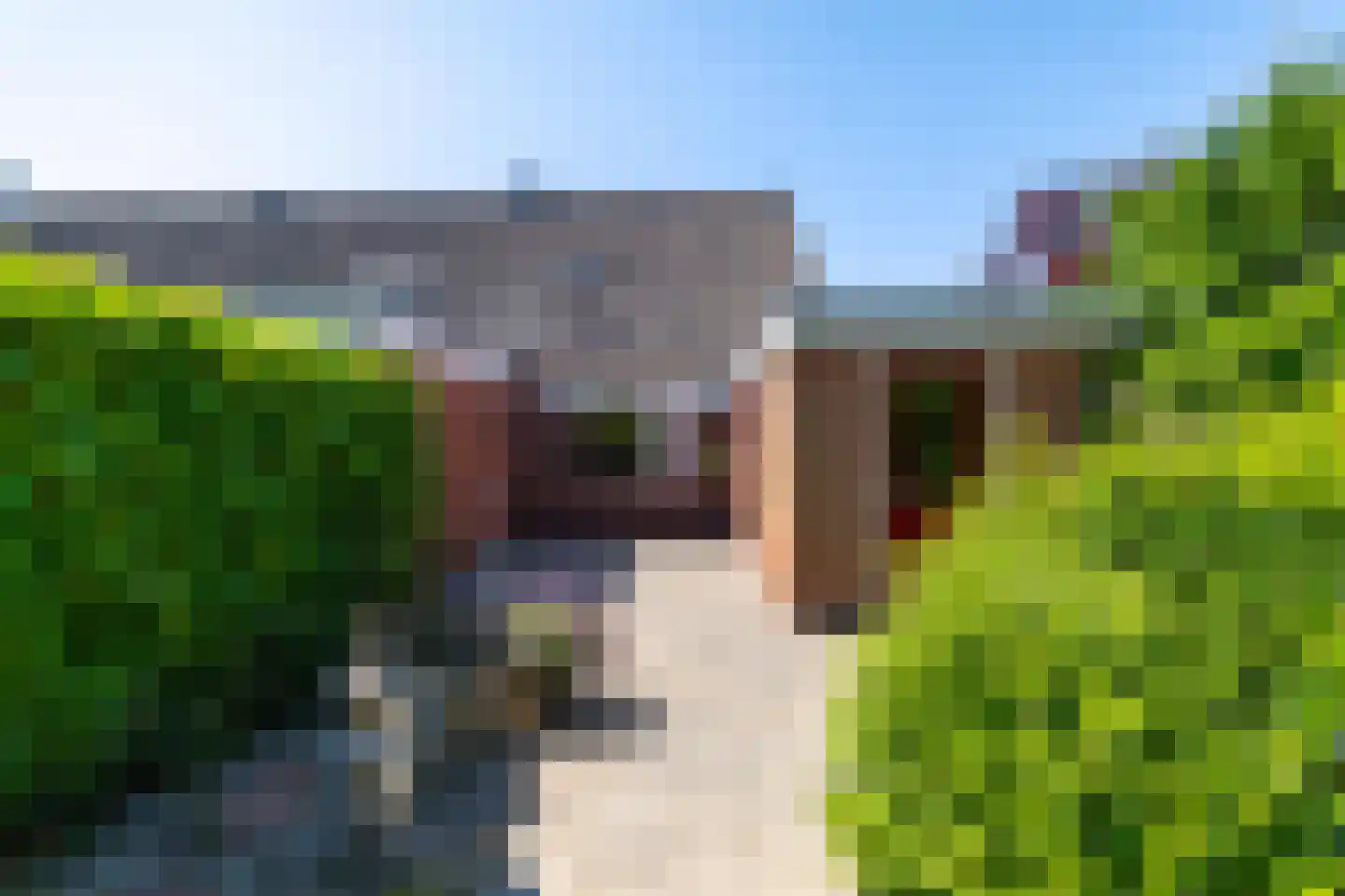 Stiekemastraat 1 Kloosterburen thumbnail 15