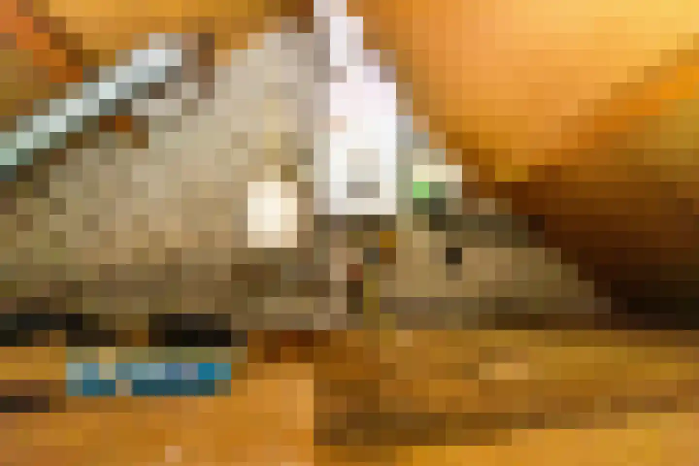 Stiekemastraat 1 Kloosterburen thumbnail 29