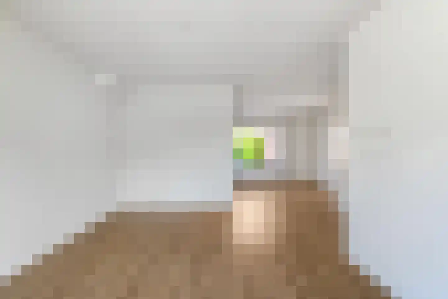 Stiekemastraat 1 Kloosterburen thumbnail 5