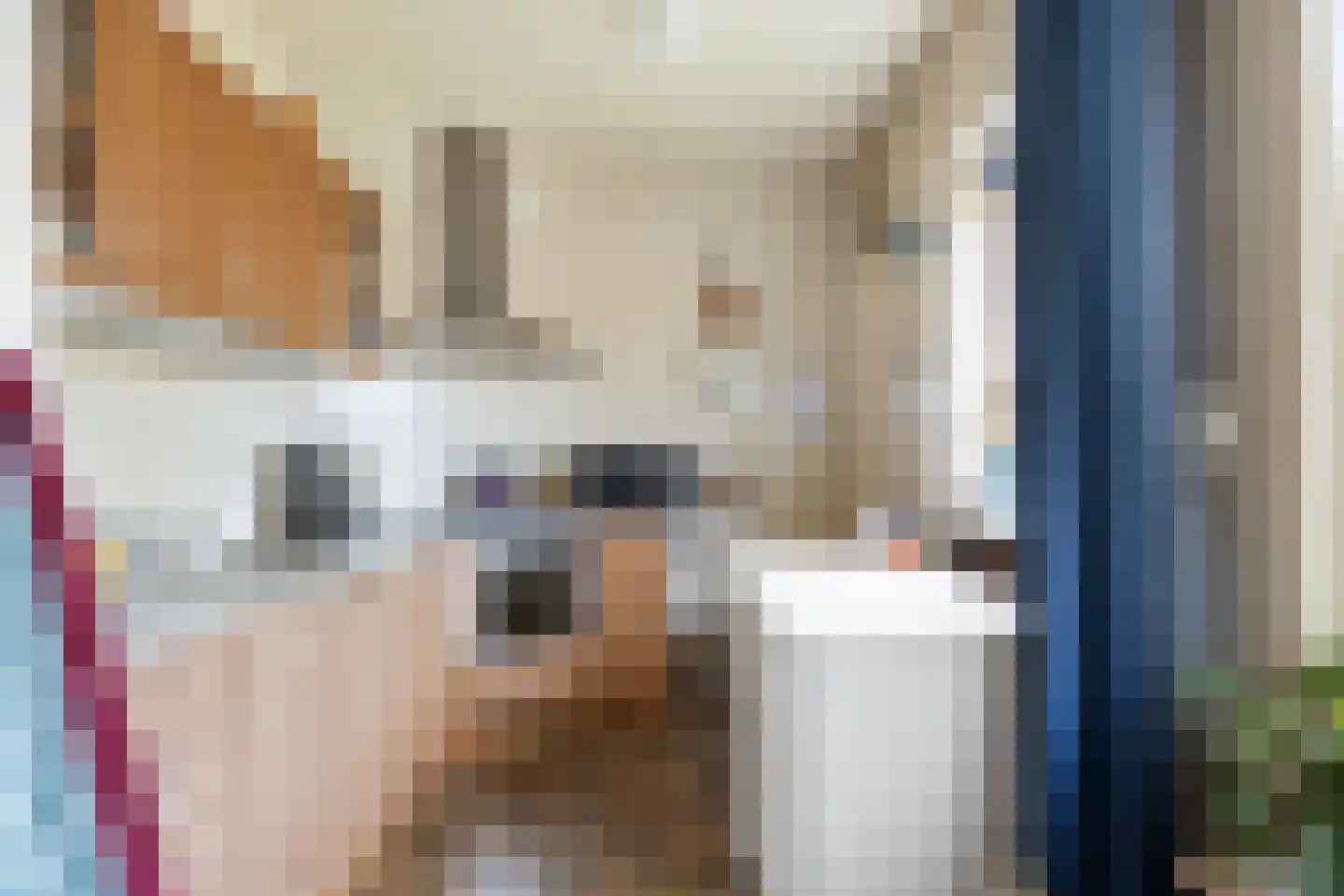 Stiekemastraat 4 Kloosterburen thumbnail 14