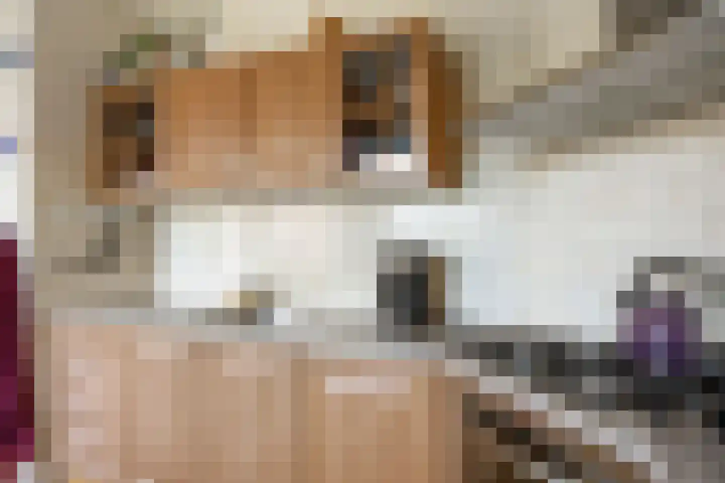 Stiekemastraat 4 Kloosterburen thumbnail 17