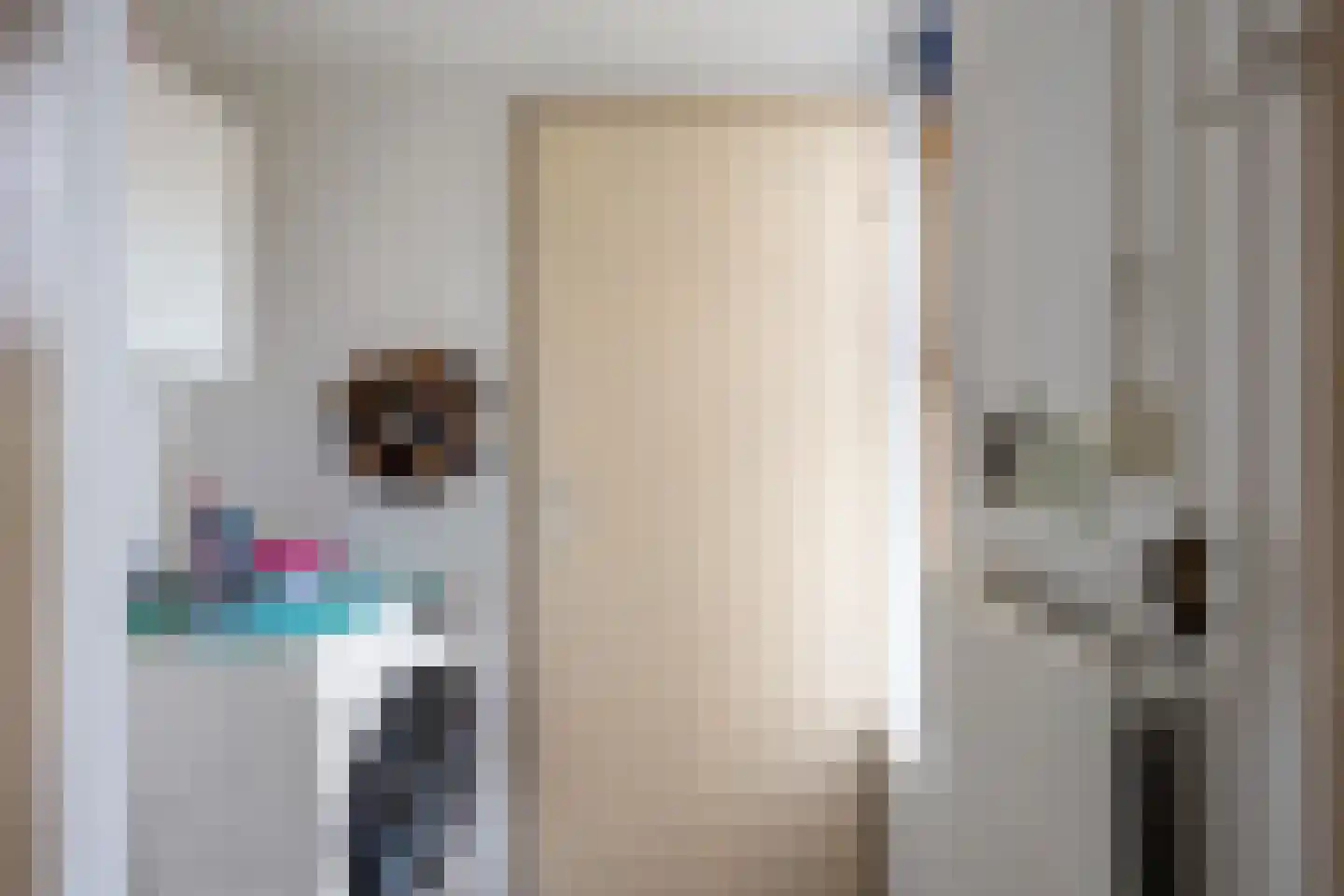 Stiekemastraat 4 Kloosterburen thumbnail 18